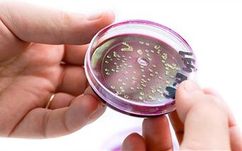 Бактерии в секрета на простатата